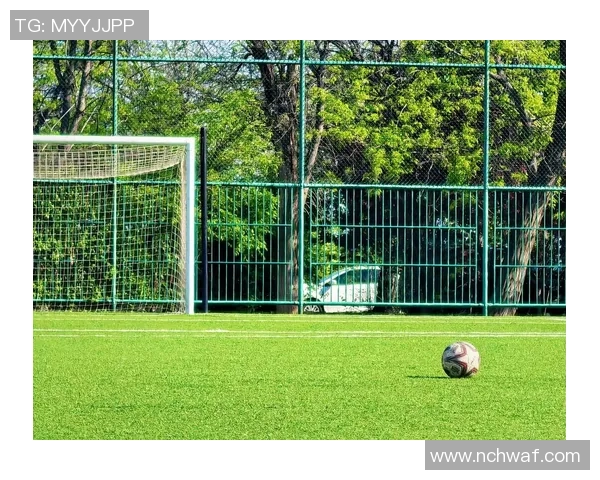 绿茵场上闪耀的足球星风采与拼搏精神故事